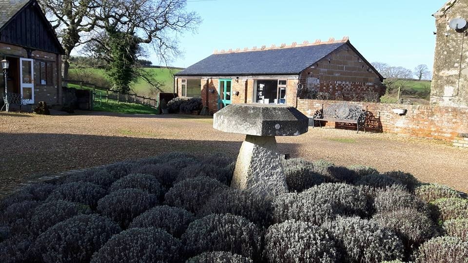 Overlooking a lavender garden with a farm shop in the distance