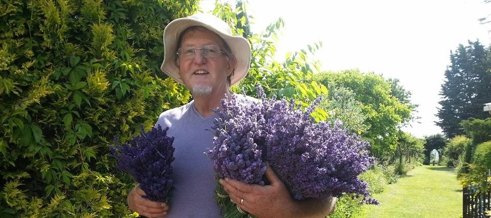 A man carrying large bunches of fresh lavender