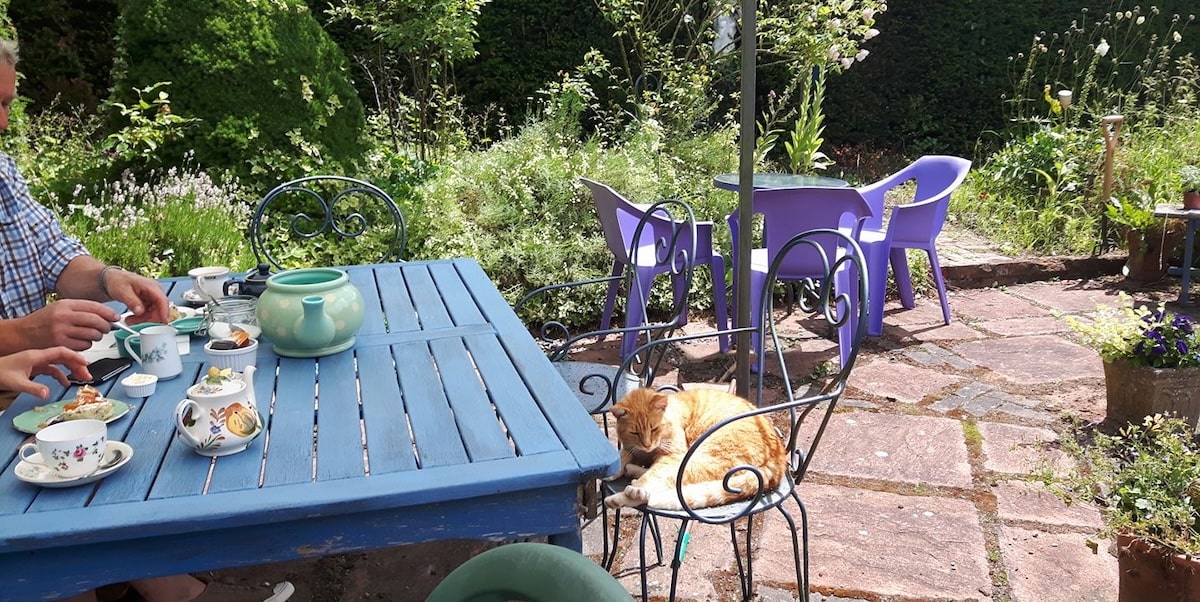 A cat asleep in the sun at a farm shop tea room